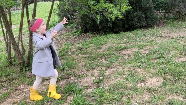 Forest School