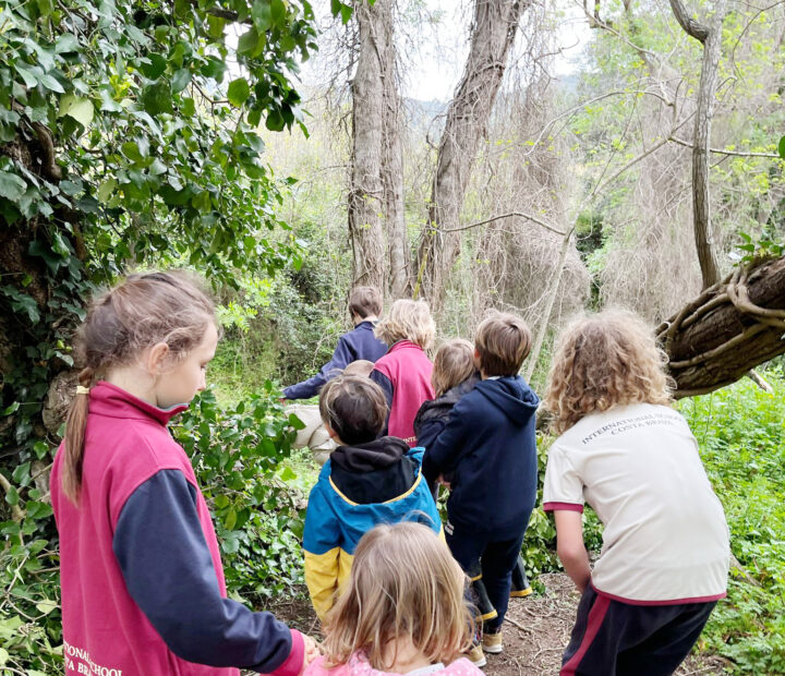 ISCB Facilities - Forest School