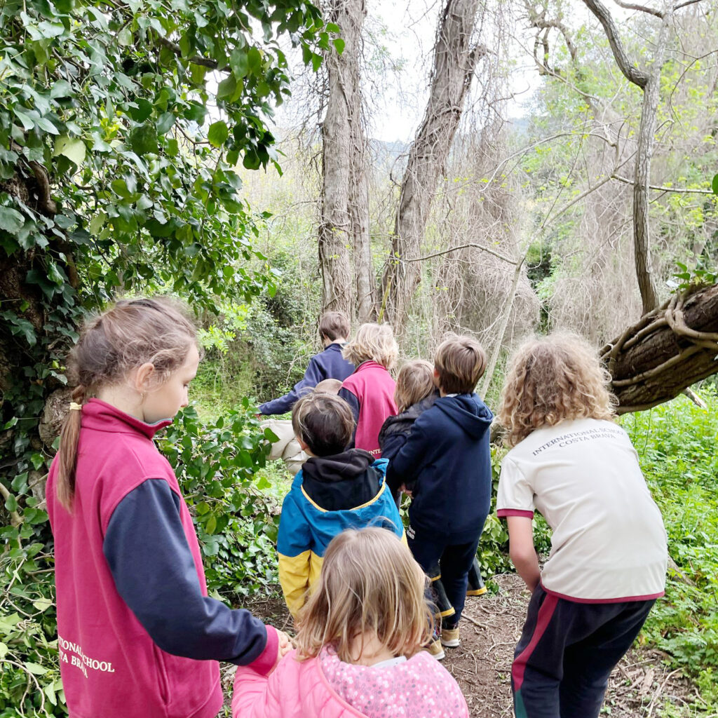 Year 6 Students at Forest School