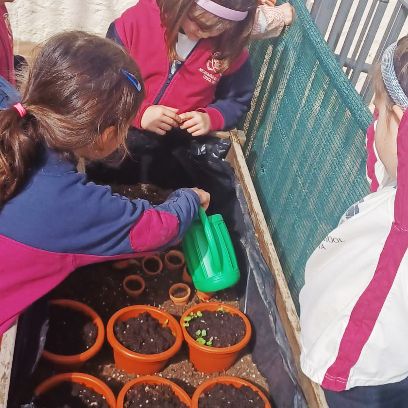 Year 2 kids growing plants