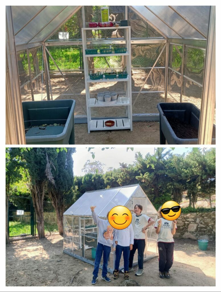 Our new Greenhouse is now built