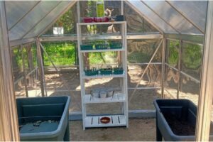 A New Greenhouse Brings Learning to Life