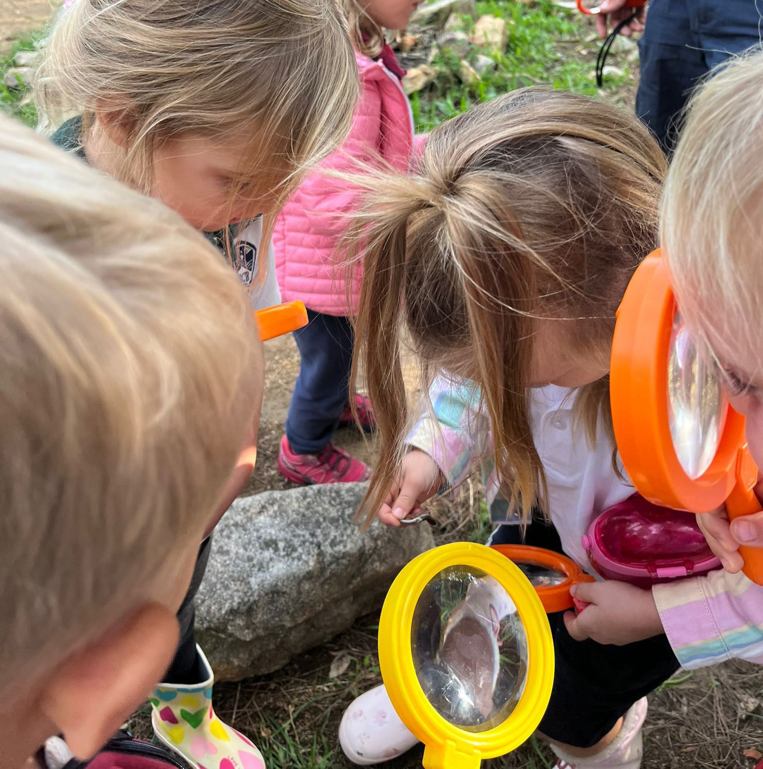 Forest School