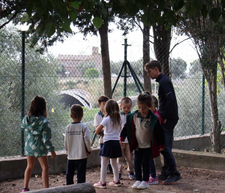 Playground Facilities Renovation