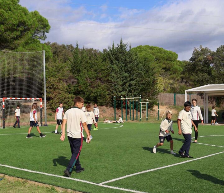 Sport Facilities Renovation