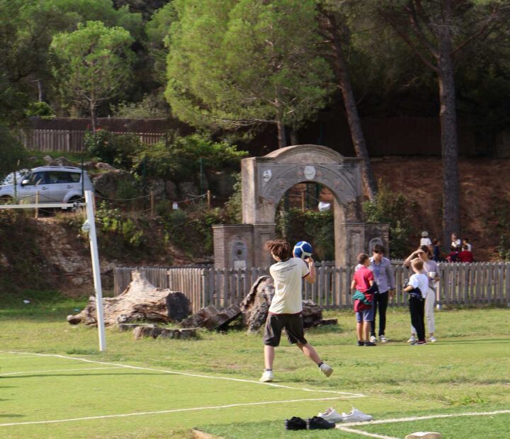 Sport Facilities Renovation