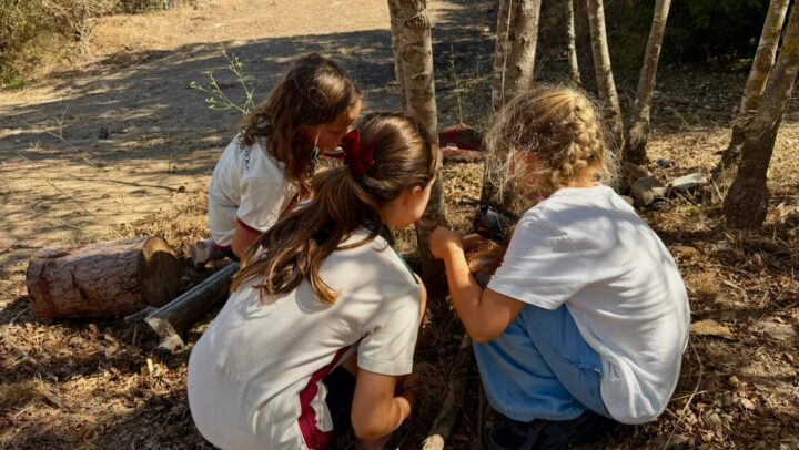 A New School Year at ISCB: Learning, Growth and New Challenges